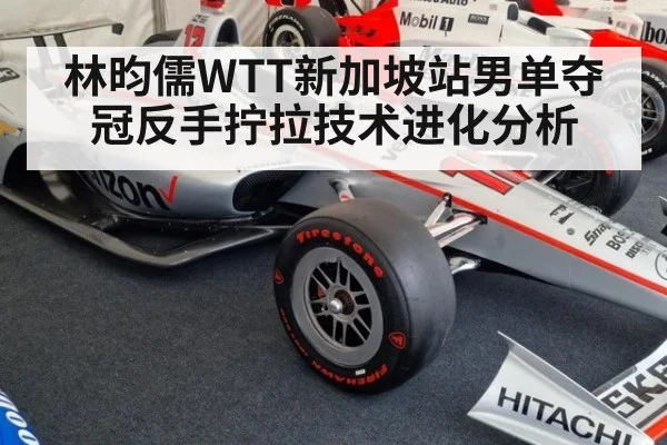 林昀儒WTT新加坡站男单夺冠反手拧拉技术进化分析