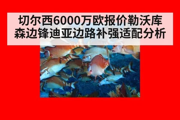 切尔西6000万欧报价勒沃库森边锋迪亚边路补强适配分析